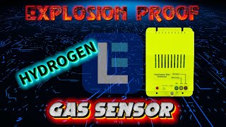 Explosion Proof Hydrogen Gas Detector Warning Alarm [upl. by Kitrak302]