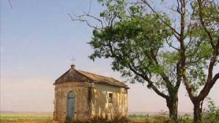 Relógio da fazenda  Renato Andrade Solo de viola caipira [upl. by Einneg]