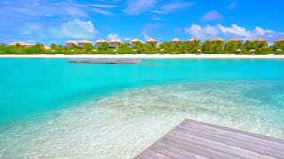 🏝 Scenic Beach View Island Relaxation From Maldives [upl. by Ku870]