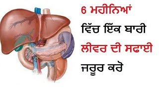 6 ਮਹੀਨਿਆਂ ਵਿੱਚ ਇੱਕ ਬਾਰੀ ਲੀਵਰ ਦੀ ਸਫਾਈ ਜਰੂਰ ਕਰੋ liver Detoxifier Juice [upl. by Adolfo555]