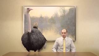 Doritos Crash The SuperBowl  Breakroom Ostrich Commercial [upl. by Atsuj]