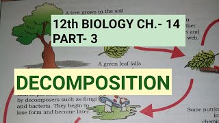 Class 12 biology chapter 14Part 3DecompositionStudy with Farru [upl. by Cormack]