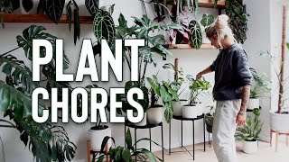 Plant Chores at home  Get cozy with me [upl. by Naillimixam]