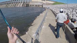 First 5 casts striper fishing below Keystone Dam Oklahoma [upl. by Nnaeitak400]