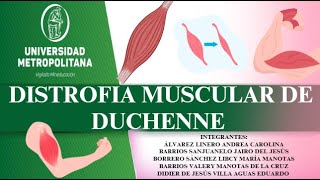 Distrofia muscular de Duchenne [upl. by Ilarrold]