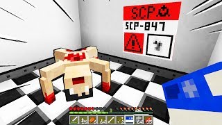 NON TOCCARE QUESTO MANICHINO  Minecraft SCP 847 [upl. by Eiralav]