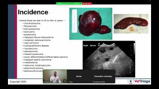 Zomedica sponsored webinar l Hemoperitoneum l Spleen l VetGuardian l July 17 2024 [upl. by Nnylyma]