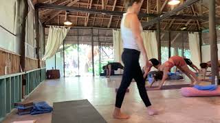 Psoas Muscle  Alignment Yoga class with Tal Swissa [upl. by Margarida]