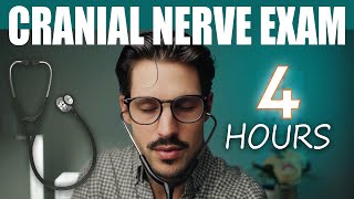 ASMR  The Longest Cranial Nerve Exam on YouTube [upl. by Nosrac253]