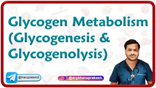 Glycogen Metabolism Glycogenesis amp Glycogenolysis [upl. by Cristiano412]