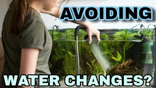 Do Aquariums Need Water Changes Filterless Deep Substrate Planted Tanks amp When to Change Water [upl. by Luci]