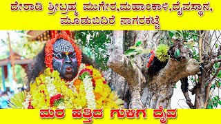 ದೇರಾಡಿ ಗುಳಿಗ ದೈವದ ನೇಮDeradiGuliga Daivada Nema [upl. by Odele261]