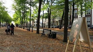 Lange Voorhout street in The Hague Den Haag Netherlands [upl. by Suzanna]