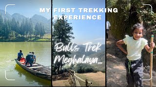 My First Trekking experience Bulls trek  Amazing place of Meghalaya [upl. by Anauqal261]