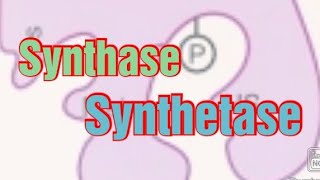 Synthase Synthetase Biochemistry [upl. by Ahseeyt]