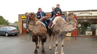 Who Needs A Car When You Have Pet Camels [upl. by Carmella429]