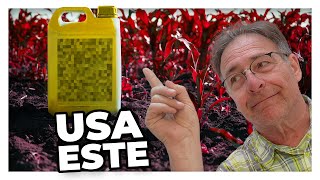 💥Qué INSECTICIDAS se utilizan para el control de plagas🦠  PLAGAS 2 [upl. by Nikal]