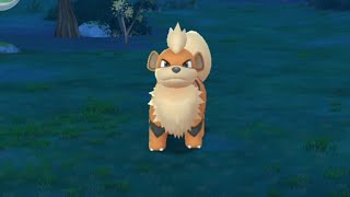 See how I Catch a Growlithe in Pokemon go [upl. by Nevur]