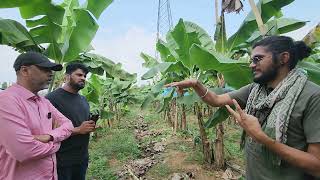 748A Largescale Banana Farming in Indonesia केले की खेती O2 Mantraã O2 Park 8827738222 [upl. by Dearr]