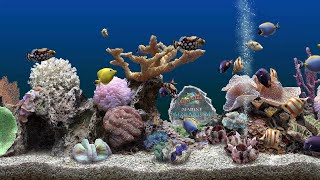 Marine Aquarium 3 [upl. by Sumner]