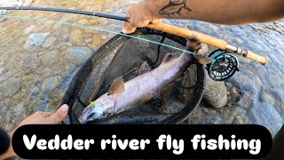 Chilliwack river fly fishing for salmon [upl. by Ahsiugal533]