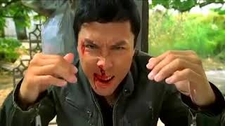 Donnie Yen vs Collin Chou Final Fight Scene [upl. by Joung664]