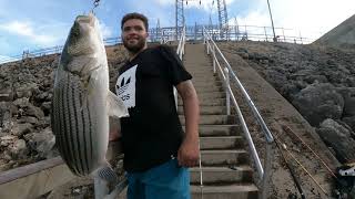 Striper Fishing WhitNey Dam Texas  Good day Fishing [upl. by Mcmahon]