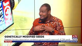 Genetically Modified Seeds Peasant Farmers Association condemns governments approval of GM seeds [upl. by Ahselrac]