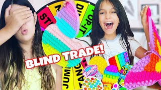 BLIND FIDGET TRADE GIANT MYSTERY WHEEL DECIDES  Emily and Evelyn [upl. by Kcoj200]