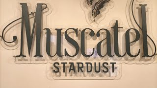 hotel muscatel Stardust Darjeelingvery good property in chowrasta Darjeeling mall [upl. by Lexi42]