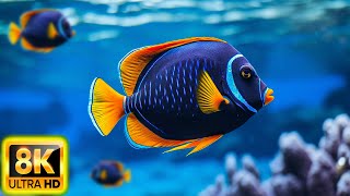 Aquarium 8K VIDEO ULTRA HD  Beautiful Relaxing Coral Reef Fish  Relaxing Sleep Meditation Music19 [upl. by Eugaet247]