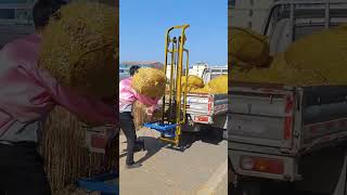 Wheat straw bale loading machine straw bale loading tool straw bale loading [upl. by Aerdnaid350]