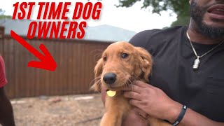 The Best Dog Breed For Beginners [upl. by Abba]