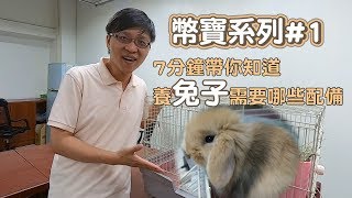 7分鐘快速帶你認識養兔子的裝備｜幣寶系列 EP1｜ChampKnows 【冠軍知道】 [upl. by Niak]