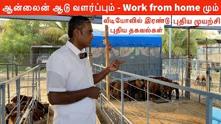 Future goat 🐐 farming 2024 work from home 🏡 [upl. by Ham]