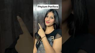 Phylum Porifera in 1 minute😨😳🔥 superfast series neet neet2025 shorts shortvideo short [upl. by Cooper]