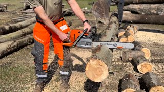 Stihl vs Husqvarna  Chainsaw Comparison Firewood [upl. by Aicertal687]