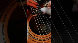 Silencing the Buzz How to Fix a Noisy Guitar String [upl. by Essy]