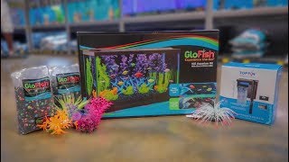 NEW GLOFISH 10G AQUARIUM SETUP [upl. by Einalam]