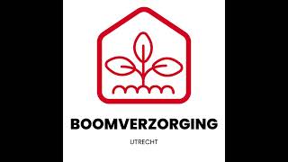 Het belang van boomverzorging voor de gezondheid van uw tuin [upl. by Michella]