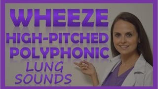 Wheezes Lung Sounds High Pitched Polyphonic Wheeze Sibilant Wheeze Rhonchi Abnormal Breath Sounds [upl. by Ahsilrae]