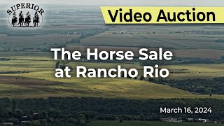 The Horse Sale at Rancho Rio [upl. by Fanya399]