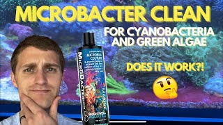 Microbacter Clean for Green Algae and Cyanobacteria Does it Actually Work [upl. by Arni351]