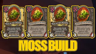 Making A Build Out of 8 Moss of the Schloss  Dogdog Hearthstone Battlegrounds [upl. by Natfa674]