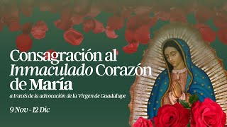 Día 7  Consagración al Inmaculado Corazón de María [upl. by Adnac]