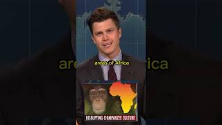 Colin Jost and Michael Che swap jokes 😂 weekendupdate [upl. by Charlet]