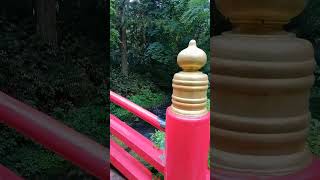 UNGANJI TEMPLE OTAWARA CITY TOCHIGI JAPAN 2024  JAPPHINEERING ADVENTURE [upl. by Htiel]