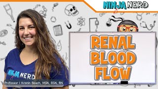 Renal Blood Flow [upl. by Iva349]