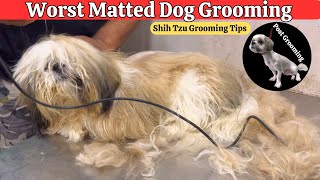 WORST DOG CONDITION FULLY MATTED  9 MONTHS DOG GROOMING FIRST TIME EVER [upl. by Peterec]