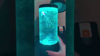 Jellyfish lamp unboxing and set up 🪼 [upl. by Oicul536]